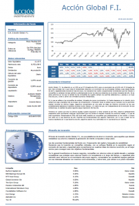 Ficha Accion Global FI