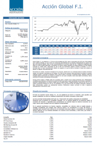 Ficha Accion Global FI